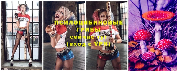 МДПВ Тихвин