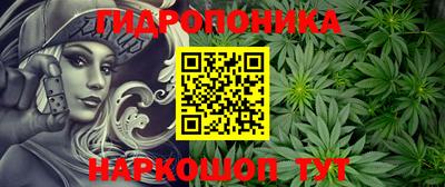 хмурый Кандалакша