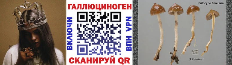 МЕГА вход  Ростов-на-Дону  Галлюциногенные грибы мицелий 