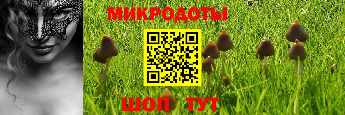 Псилоцибиновые грибы Psilocybine cubensis Ростов-на-Дону