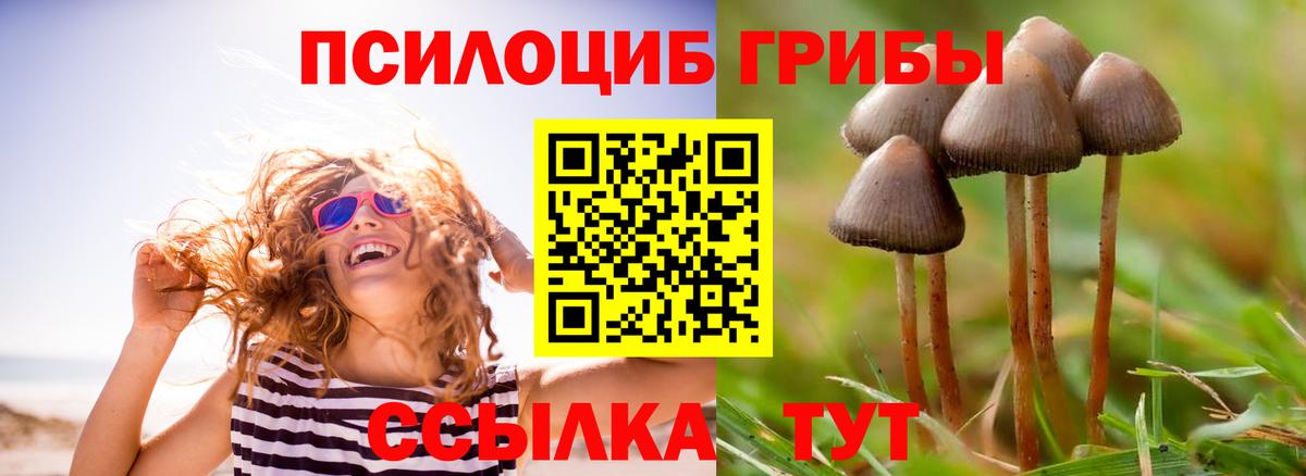 Галлюциногенные грибы GOLDEN TEACHER  Галлюциногенные грибы Psilocybe  Ростов-на-Дону 