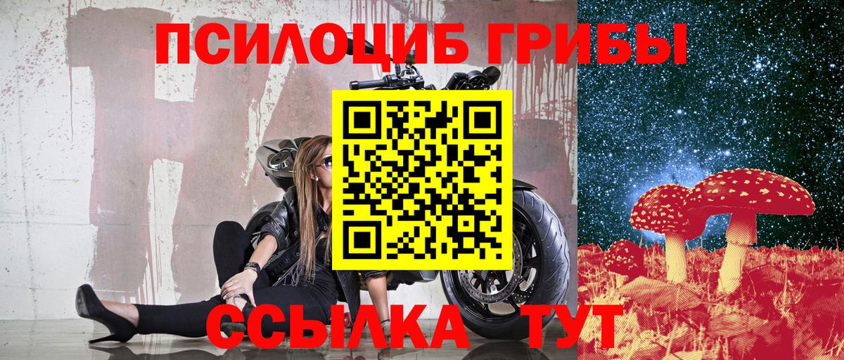Псилоцибиновые грибы Psilocybine cubensis Ростов-на-Дону